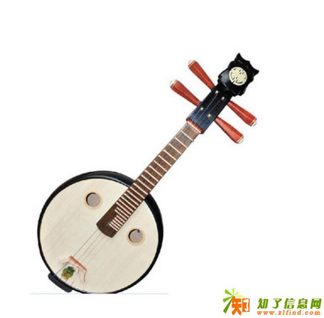 广州哪里有阮?博艺琴行各种热门 冷门 民族乐器专卖