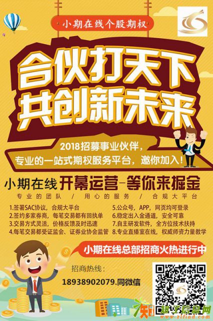 个股期权 小期在线适合什么样的投资者