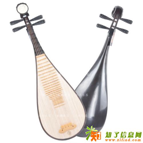 广州哪里有琵琶购买和培训学习？越秀区博艺琴行