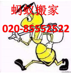 广州天河区蚂蚁搬家公司