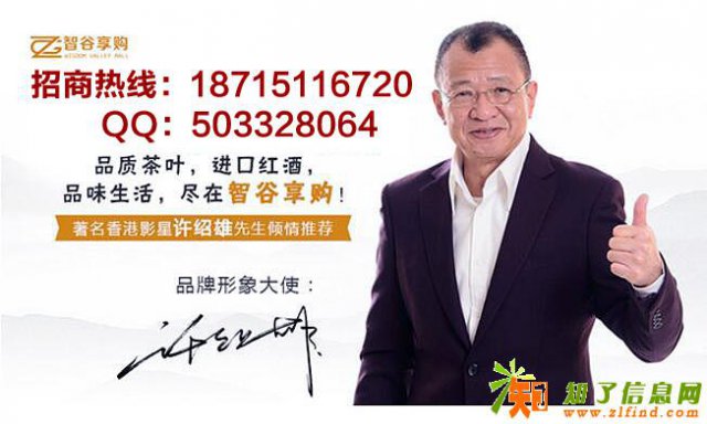 智谷享购商城新金融模式招商