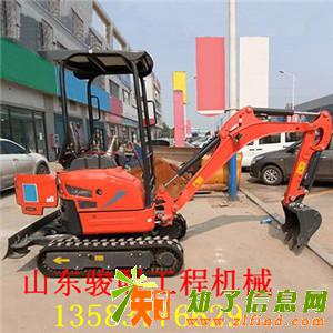 不受地理影响的小型挖掘机 大棚先导挖掘机