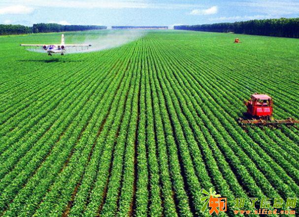 2018第七届中国（潍坊）现代农业科技博览会