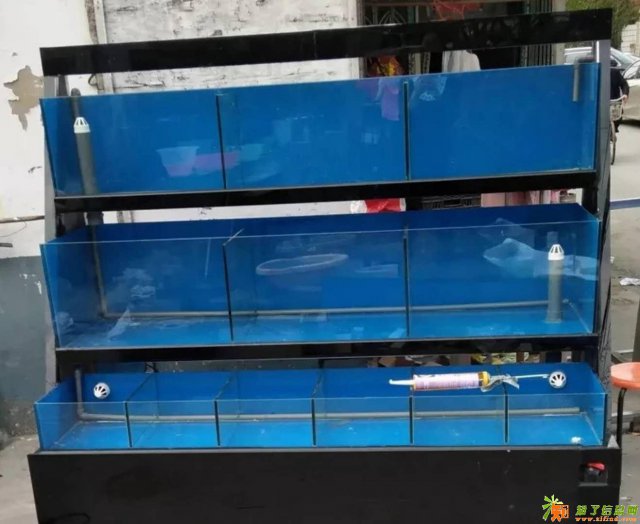 海鲜池尺寸价格_海鲜池尺寸批发