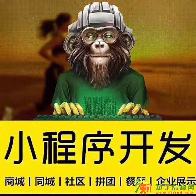 潍坊地区 公众号 小程序 开发注册装修代运营