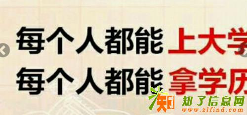 网络教育什么学历才能去报考?