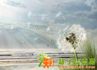 成人高考需要什么学历？成人高考学历国家承认吗？