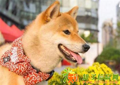 2018年重庆建筑房建资料员具备哪些技能