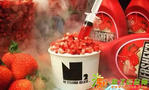 加盟N2怪咖冰淇淋的项目详情分析