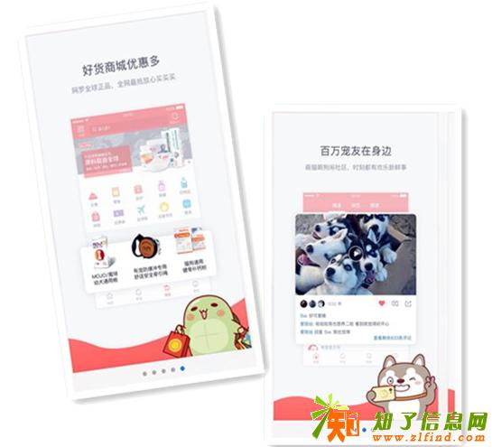 宠物app开发，成都开发宠物app软件的公司哪家好