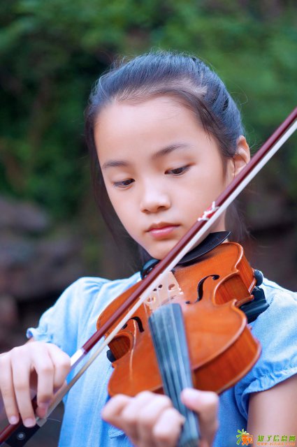 深圳暑假新洲皇岗益田下沙小提琴培训