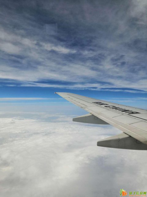 北京朝阳区商标注册的流程是什么