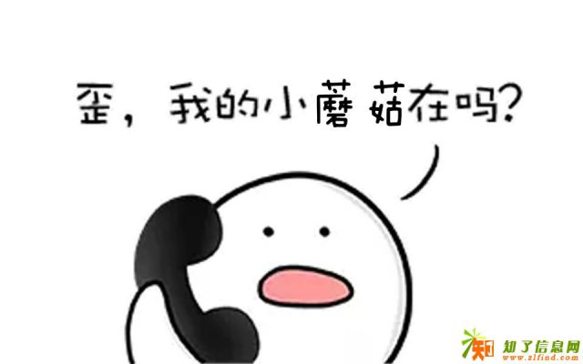 上海恒指开户策略小蘑菇团队喊单是真心实意的吗