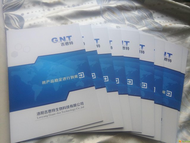 洛阳彩页单页印刷洛阳学校宣传册印刷三折页印刷