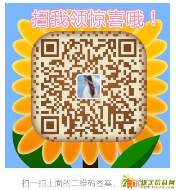 菩提自贸代理怎么招