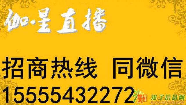 伽星直播代理会员日返