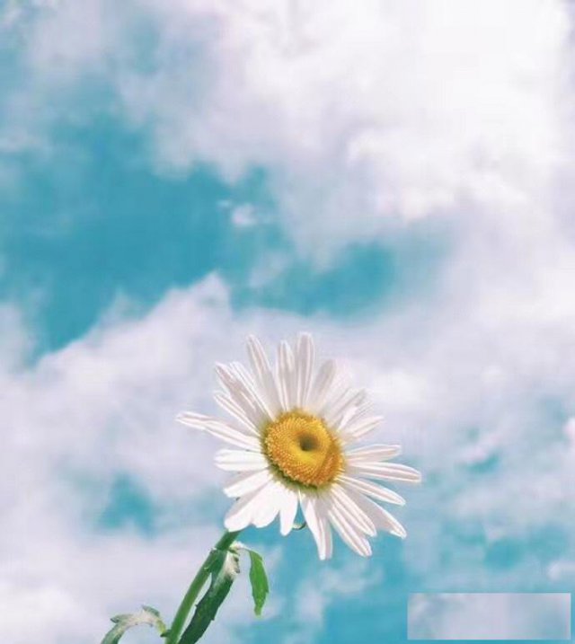 汉语言文学自考攻略