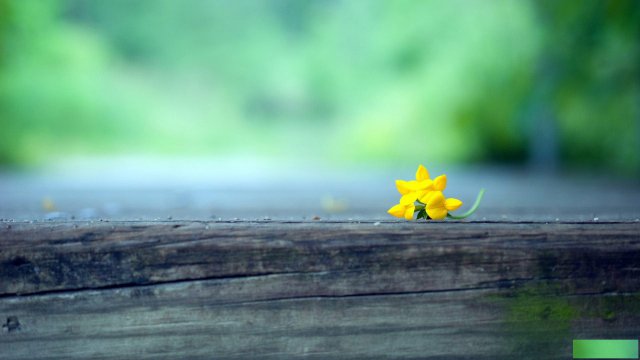 乙级测绘资质的申请要求是什么