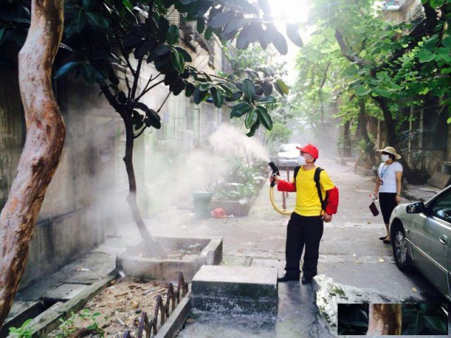 广州上门除甲醛除四害灭蚊子老鼠虫害