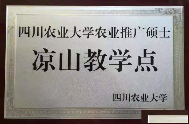 凉山在职学历提升，高校联办，学信网可查