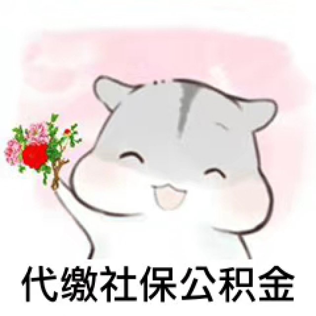 湖北纳杰代理五险一金