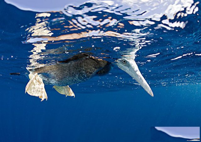 开曼群岛可以申请数字货币金融牌照吗？