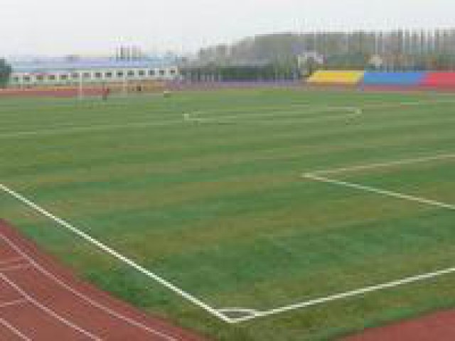 足球场施工、人造草施工