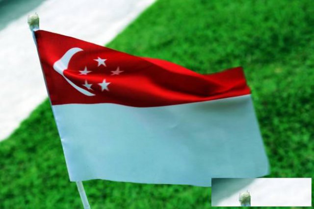 注册新加坡普通公司进行海外投资的流程