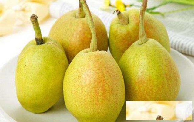 进口荷兰香梨整柜到天津港注意事项