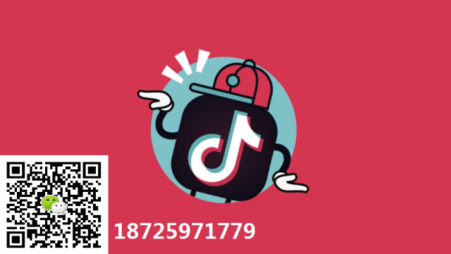 伽星直播,平台,免加盟费,日结佣金