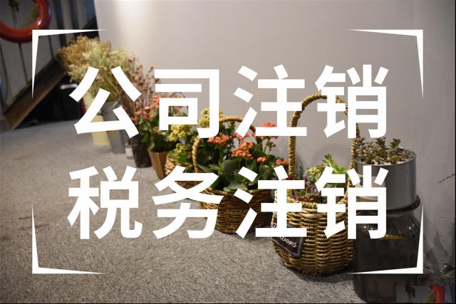 公司注销的流程，小规模公司个体执照注销