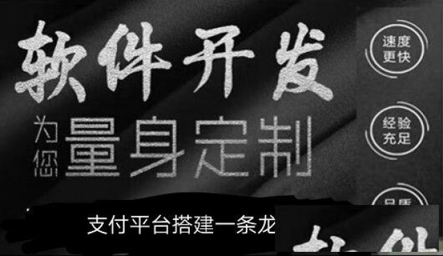怎么选择合适的软件开发智能代还公司呢