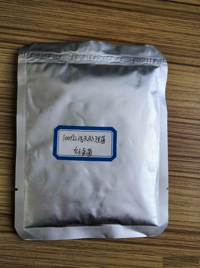 中泓环保生化池专用菌种量大从优