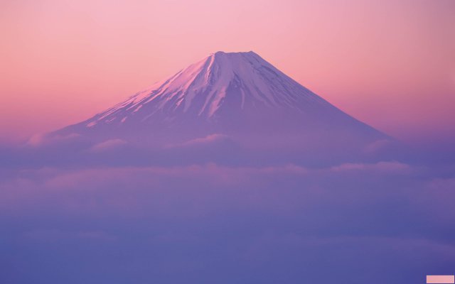 电商怎么申请美国商标