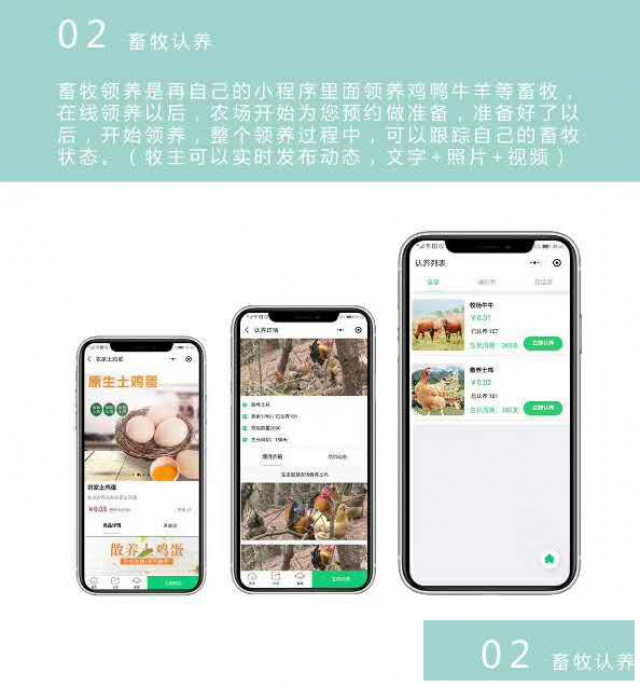 智慧农场系统玩法介绍