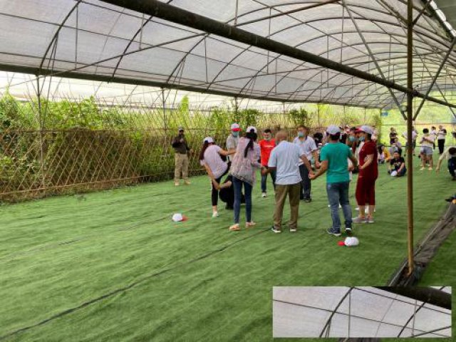 金秋十月去九龙生态农业园好玩