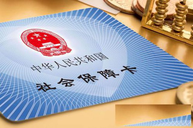 打印社保记录是不是所有险种都会显示呢