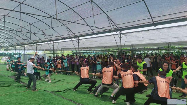 深圳亲子班级公司秋游植树赏花九龙农家乐一日游