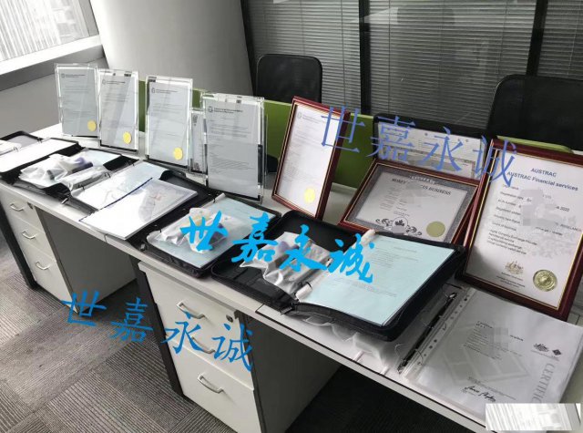 新加坡基金会是什么