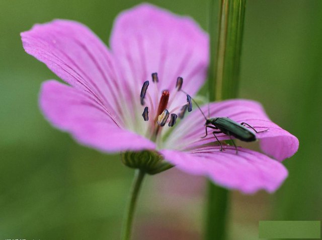 广西(北海2021年)成人高考火热报名,考前辅导-