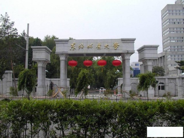 北京助学东北林业大学艺术设计和计算机软件自考本科带学位