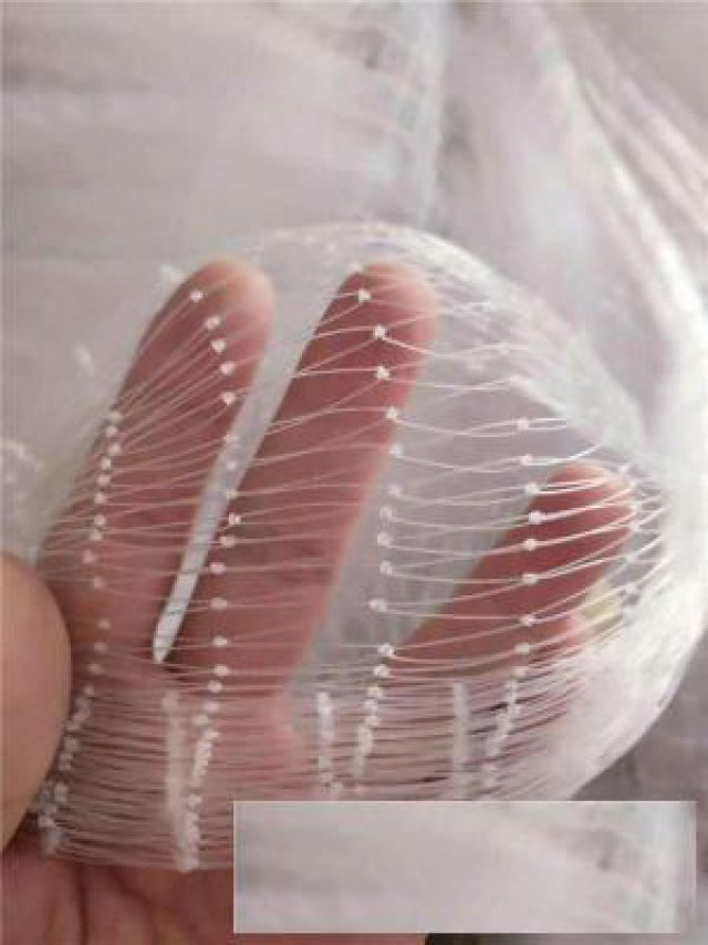 果树防虫网单丝有结加厚防鸟网大宽幅安装省力