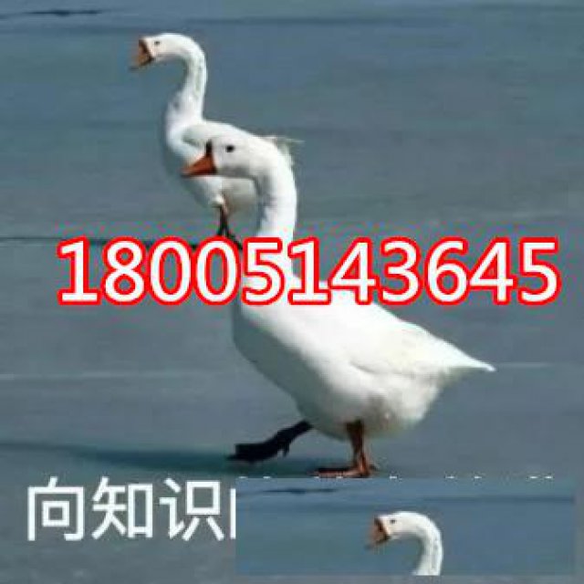 五年制专转本江苏瀚宣博大秋季培训辅导班火热招生中，通过率高