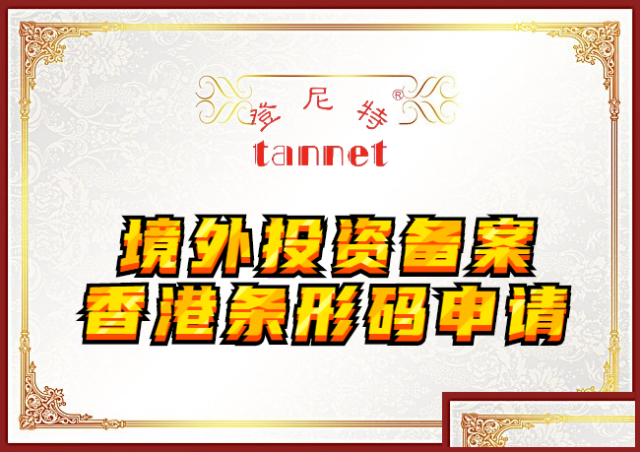 东莞境外投资备案申请报告