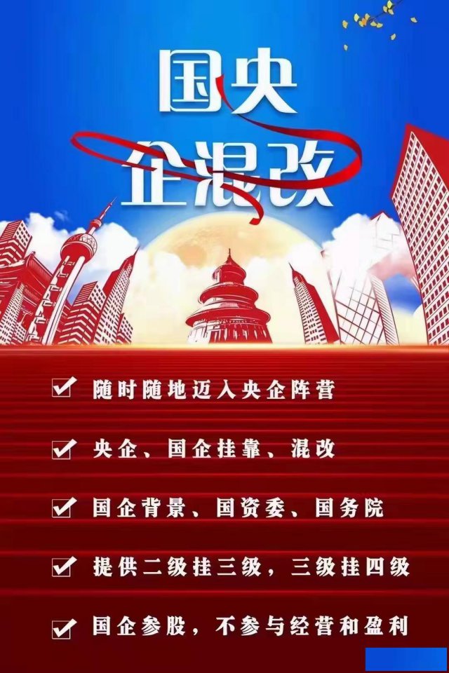 北京公司挂靠国企混改