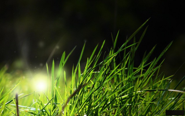 私募证券基金公司怎么备案