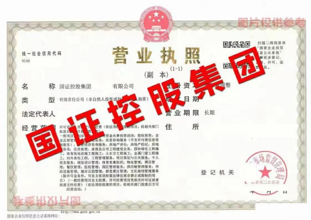 中字头，国字头集团公司转让