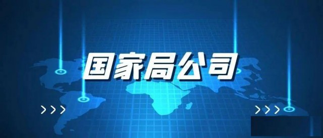 数家国家局无区域公司未经营转让字号名称中字国字头