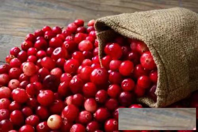 进口加拿大蔓越莓需要准备的单证资料和流程