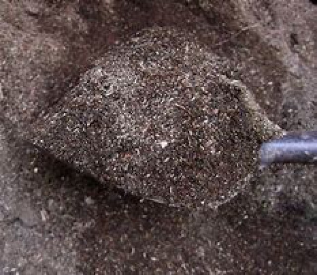 泥炭土进口清关代理流程